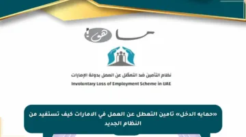 «حماية الدخل» تأمين التعطل عن العمل في الإمارات كيف تستفيد من النظام الجديد